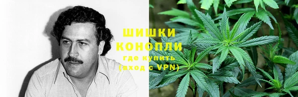 прущие грибы Армянск