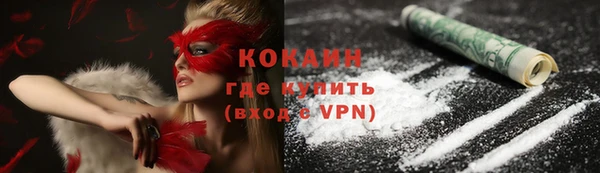 прущие грибы Армянск