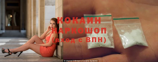 прущие грибы Армянск