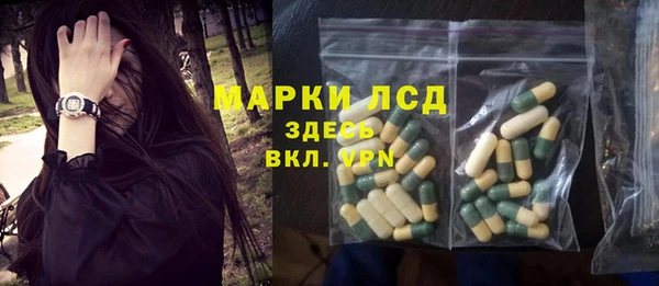 прущие грибы Армянск