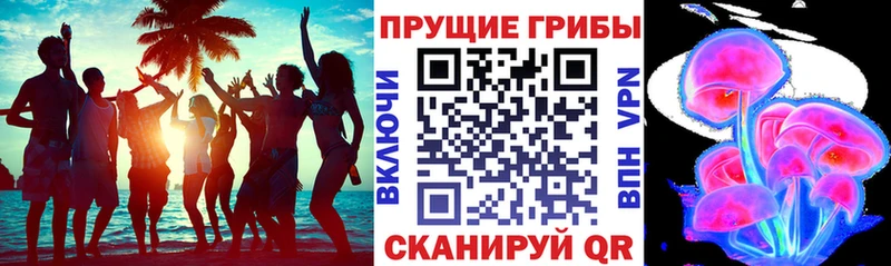 Псилоцибиновые грибы Psilocybine cubensis  гидра ссылка  Фрязино 