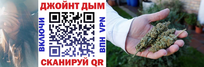 МЕГА ТОР  цены наркотик  Фрязино  Каннабис индика 